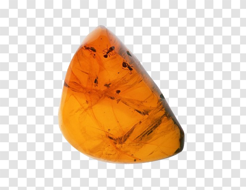 Amber Tomakomai Komazawa University Fossil Rock Rosin - Ga - Yellow Stones Transparent PNG