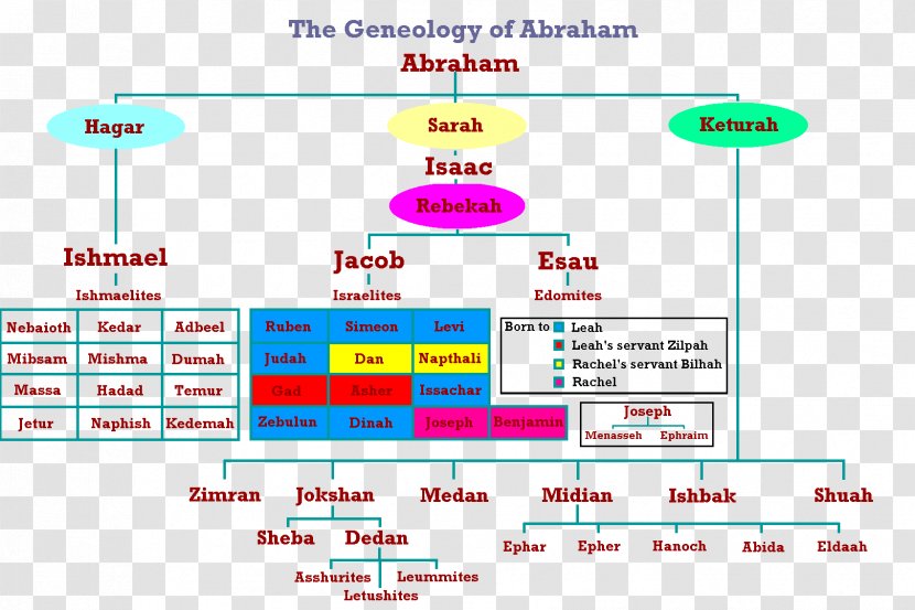 Bible Old Testament Abraham's Family Tree Genealogy - Covenant - Abraham Transparent PNG