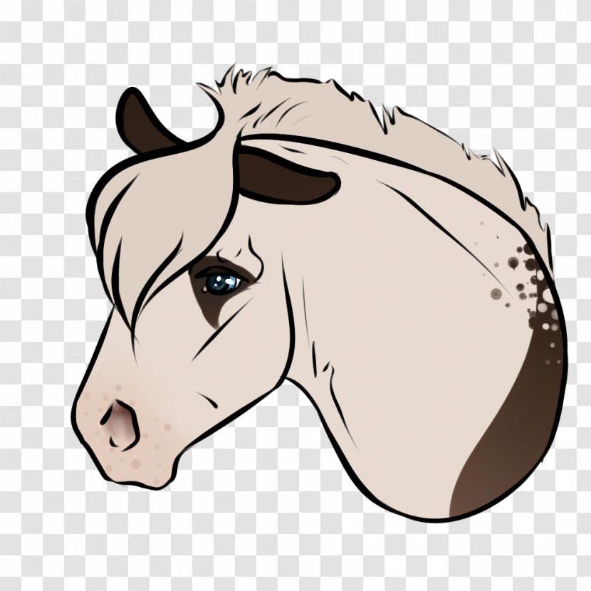 My Mistakes Were Made For You The Last Shadow Puppets Pony Mustang - Horse - Arrogant Pattern Transparent PNG