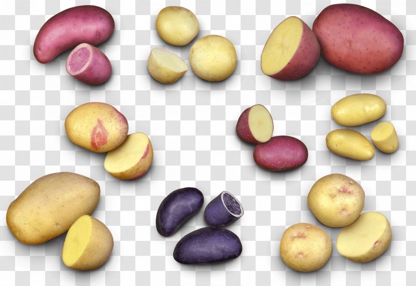 Potato Varieties Nut Food Vegetable - Earthapples Seed Potatoes Transparent PNG