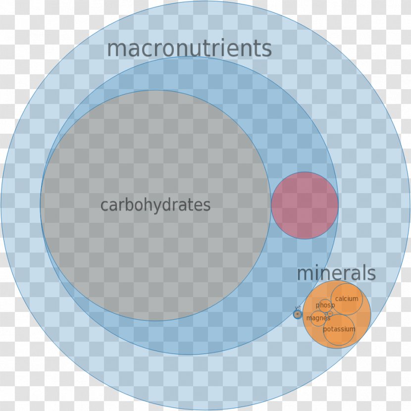 Brand Circle - Diagram - Design Transparent PNG