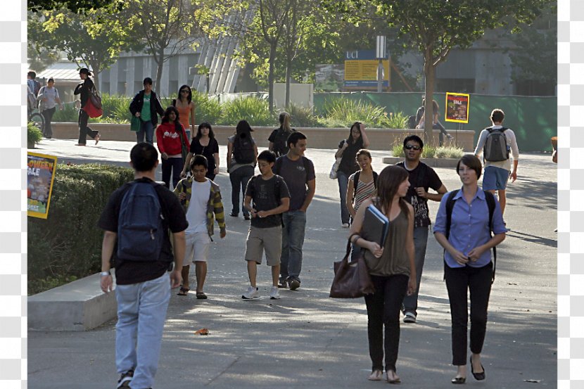 University Of California, Riverside California State University, San Bernardino Berkeley Santa Barbara - Numerous Students Transparent PNG