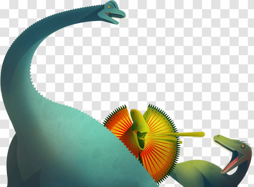 Beak Close-up - Design Transparent PNG