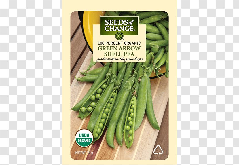 Snap Pea Organic Food Seed Heirloom Plant - Bean Transparent PNG