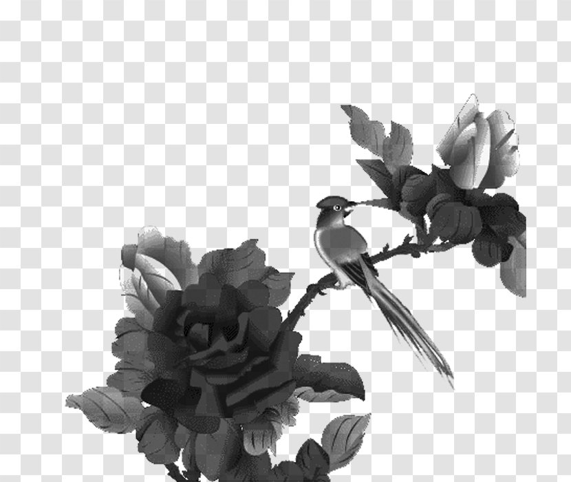 Pleasure Happiness Akhir Pekan Blog Greeting - Flower - Monochrome Photography Transparent PNG