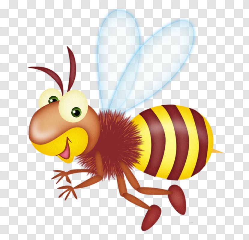 Bee Cartoon Clip Art - Membrane Winged Insect Transparent PNG