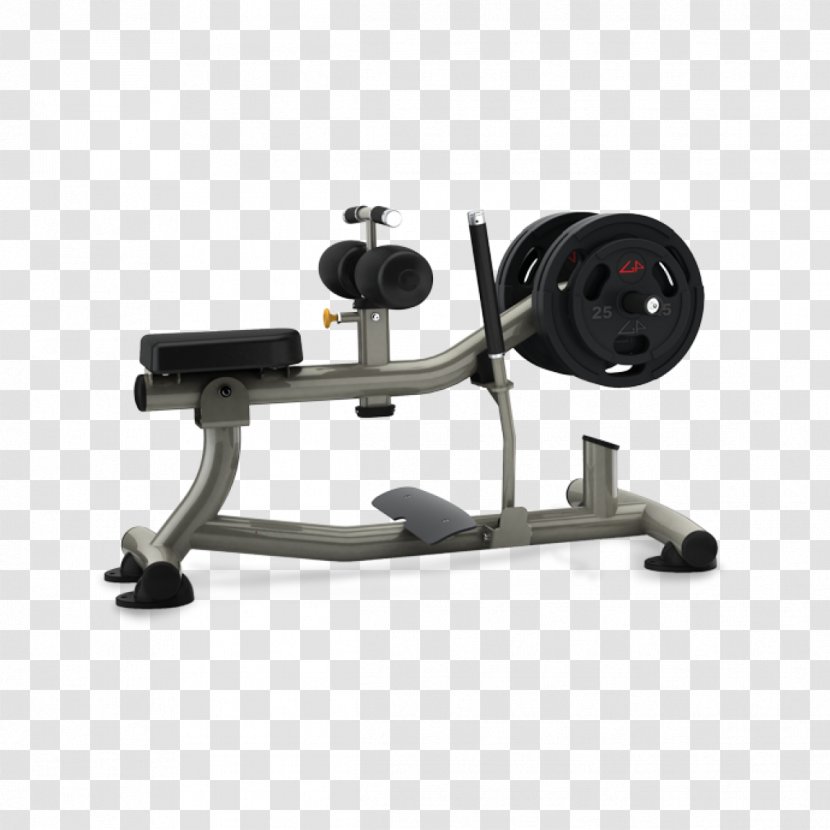 Calf Raises Exercise Equipment Bench Fitness Centre - Bodybuilding Transparent PNG