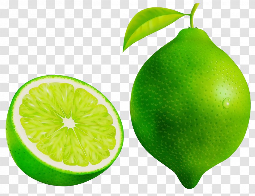 Persian Lime Fruit Green Citrus - Plant - Sweet Lemon Food Transparent PNG