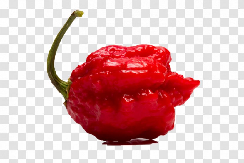 Chili Pepper Carolina Reaper Capsicum Annuum Scoville Unit Frutescens - Peperoncini Transparent PNG