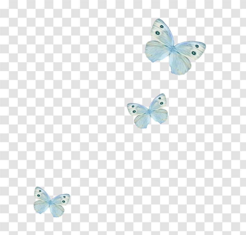 Butterfly Turquoise Blue Clip Art Transparent PNG
