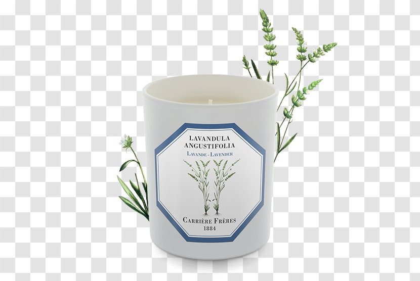 English Lavender Candle Perfume Thyme Grasse - Jasmine - Cucumber Gourd And Melon Family Transparent PNG