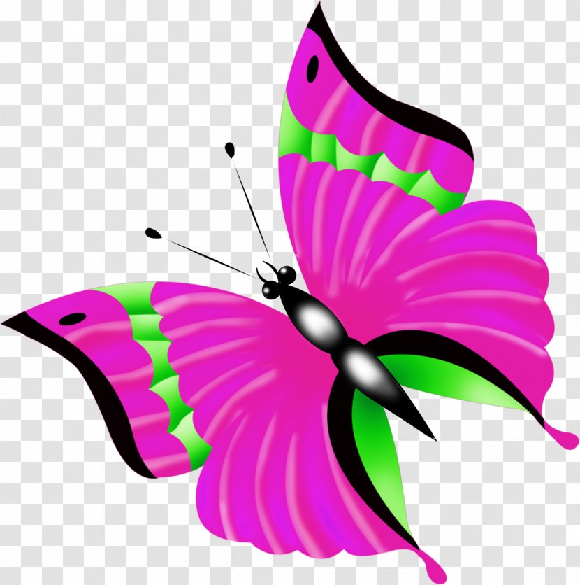 Butterfly Photography Clip Art - Monarch Transparent PNG