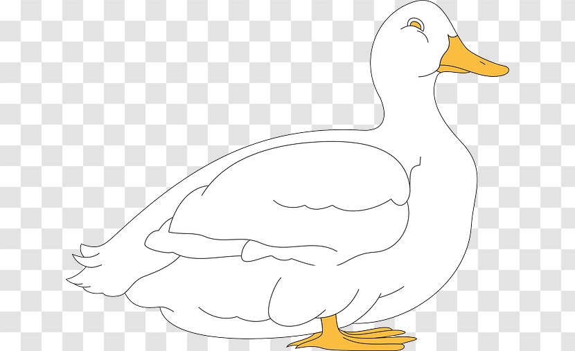 Duck Goose Cygnini Chicken Bird - Ducks Geese And Swans Transparent PNG