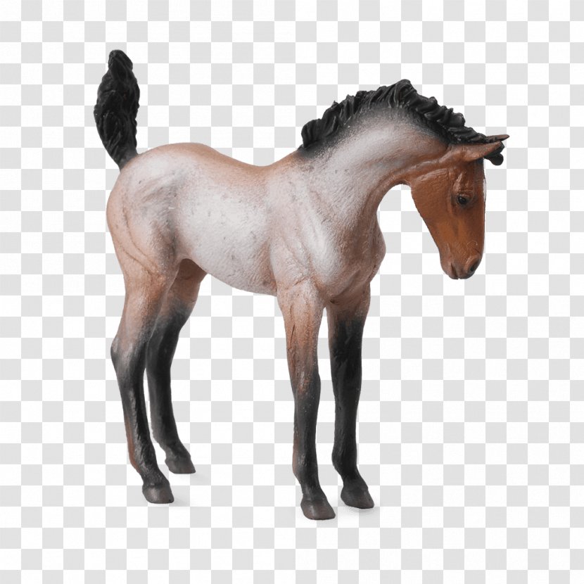 Foal Mustang Mare Clydesdale Horse Bay Transparent PNG