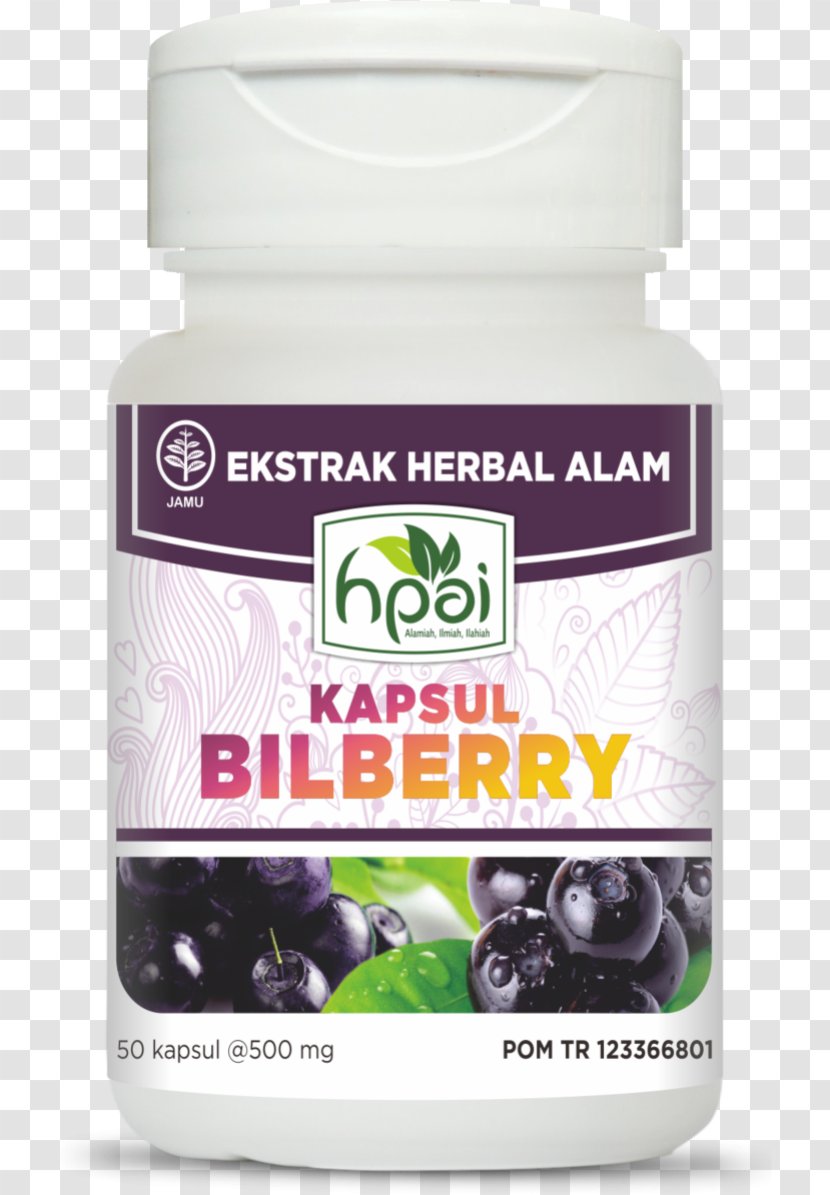 Bilberry Health Blueberry Herb Centella Asiatica Transparent PNG