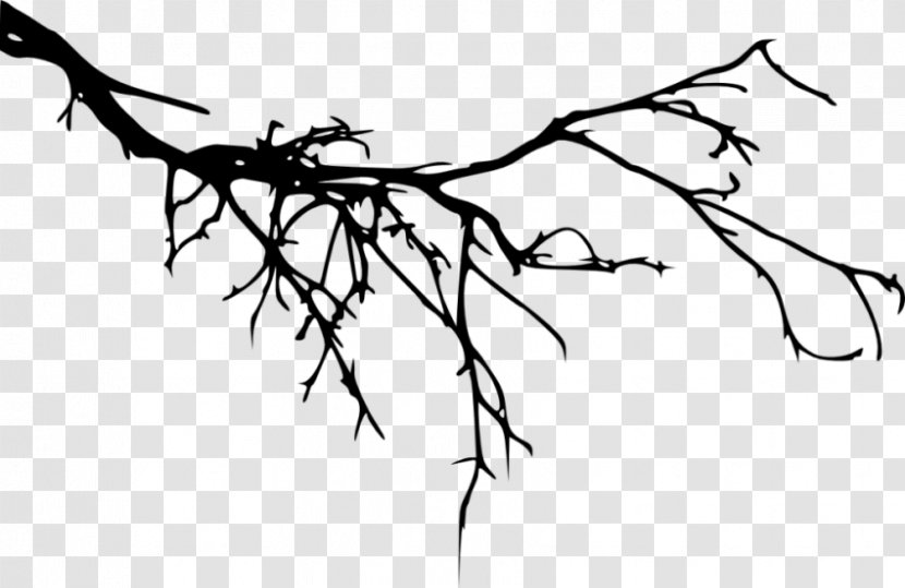 Twig Branch Silhouette - Root Transparent PNG