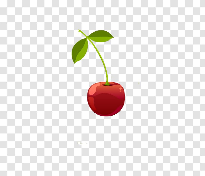 Cherry Computer File Transparent PNG