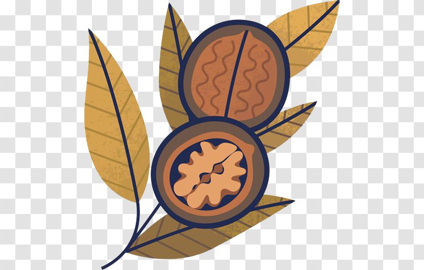 Walnut Leaf Illustration - Plant - Leaves Transparent PNG