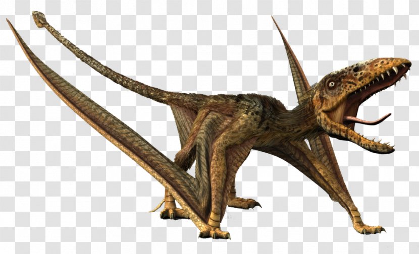 Velociraptor Dimorphodon Quetzalcoatlus Peteinosaurus Bird - Terrestrial Animal Transparent PNG