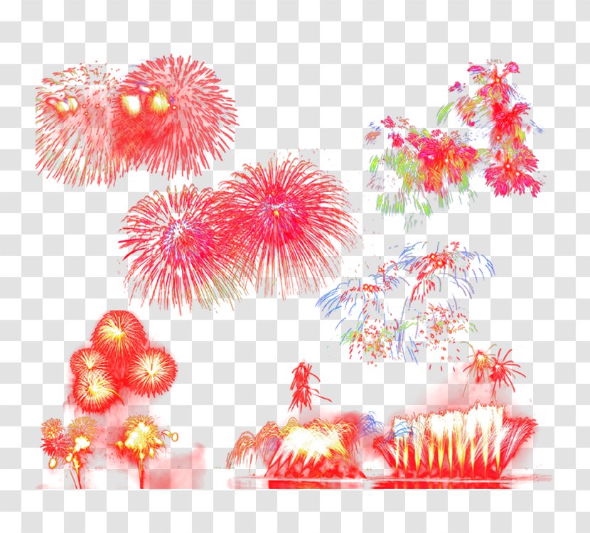 Fireworks Firecracker Festival - Petal Transparent PNG