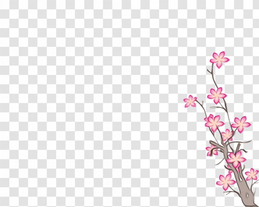 Cherry Blossom Cartoon - Twig Wildflower Transparent PNG