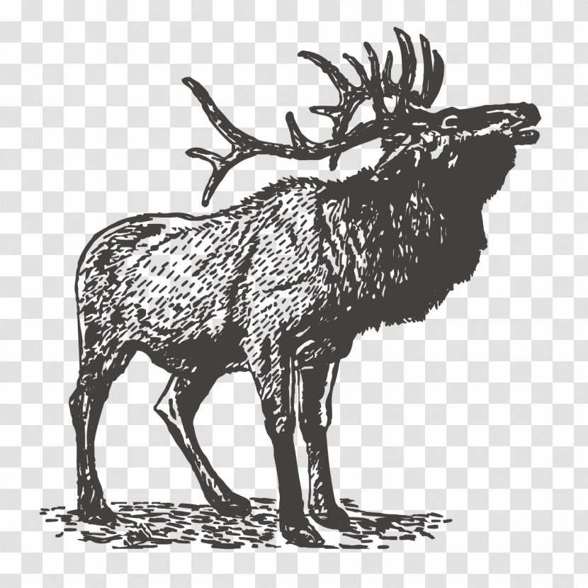 Grand Teton National Park Logo Decal Poster - Visual Arts - Vector Painted Deer Transparent PNG