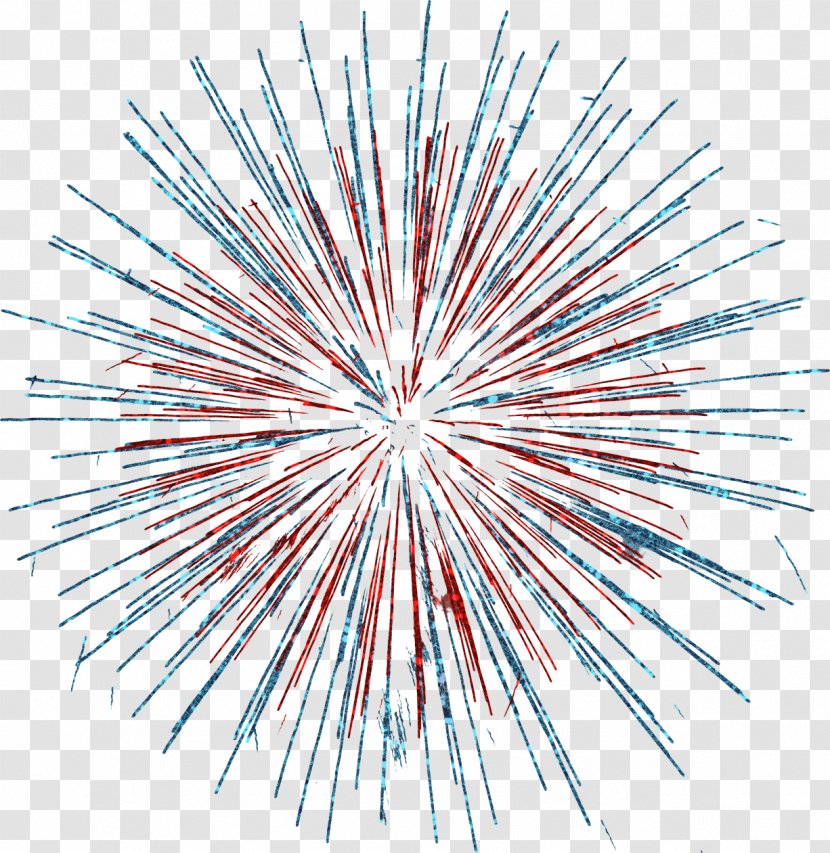 Independence Day Fireworks Page Layout Blog - Sky - Firework Transparent PNG