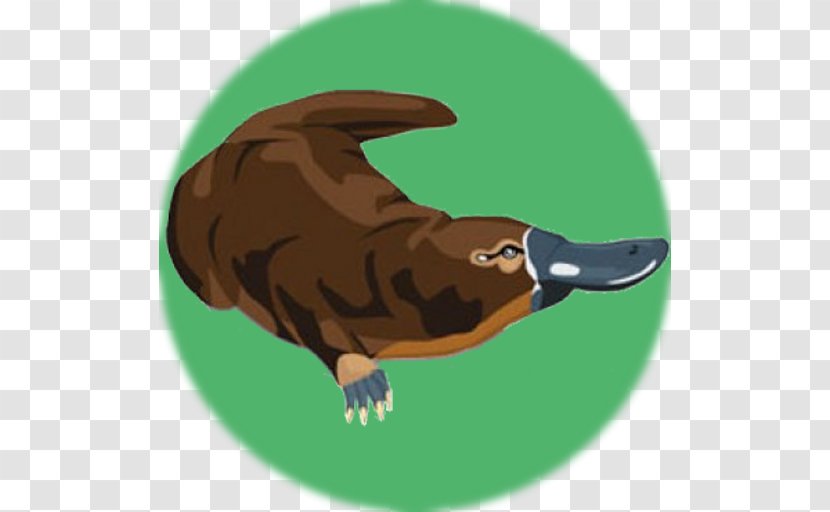 Platypus Beak Beaver Duck Otter - Google Play Transparent PNG