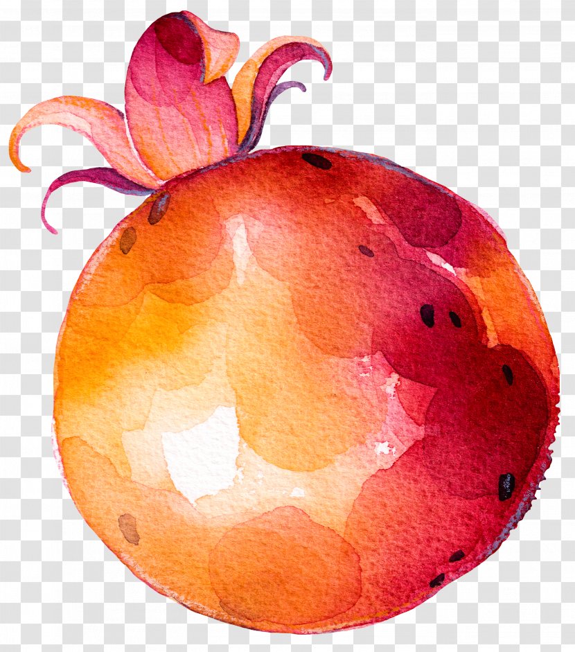 Fruit Vegetable Drawing - Hand Drawn Fruits And Vegetables Transparent PNG