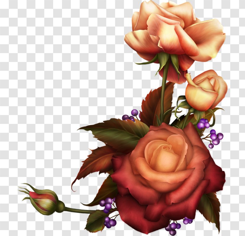 Garden Roses Flower Desktop Wallpaper Clip Art Transparent PNG