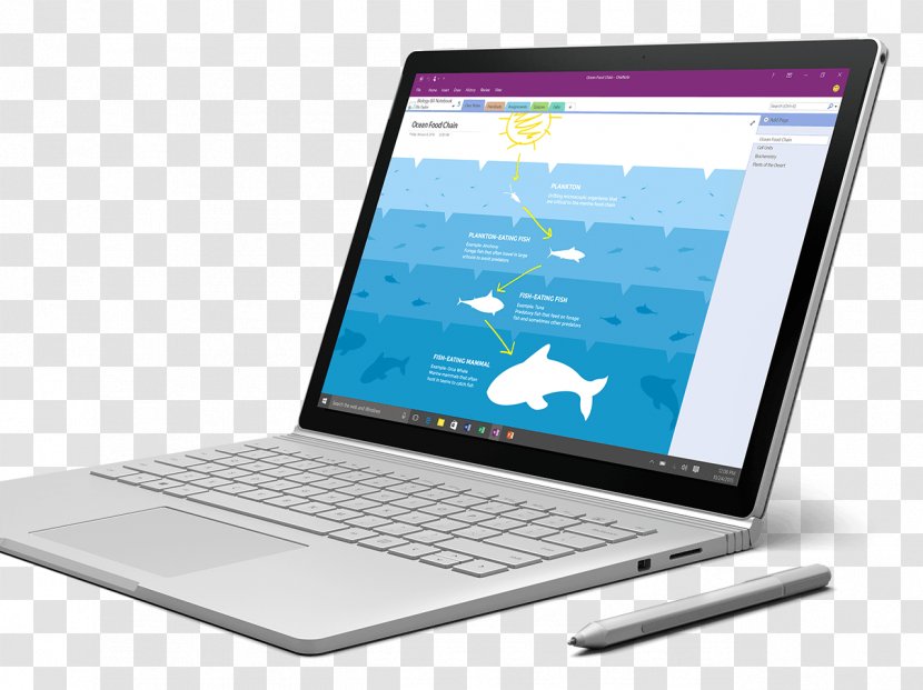 Netbook Laptop Surface Book Microsoft Computer Hardware - Tablet Computers Transparent PNG