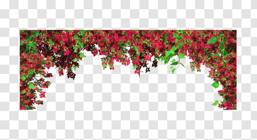 Wallpaper - Flowering Plant - Rose Lace Material Transparent PNG