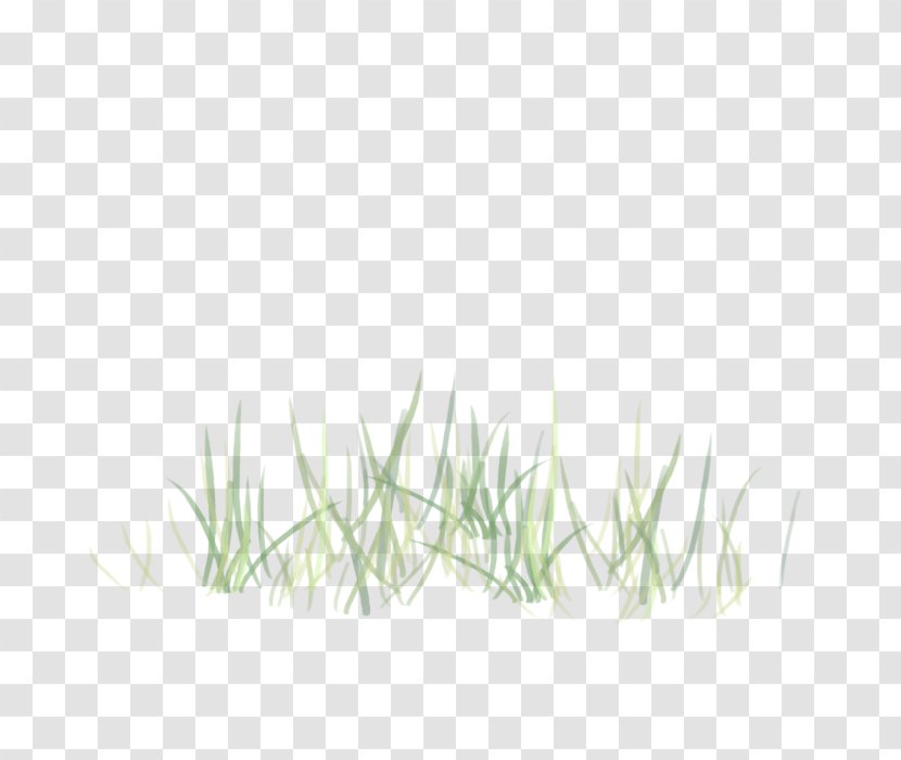 Grass Green Plant Family Transparent PNG