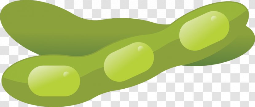 Soy Allergy Soybean Edamame Anaphylaxis - Plant Transparent PNG