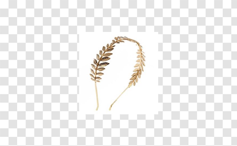 Grasses Food Grain Family - Diadema Transparent PNG