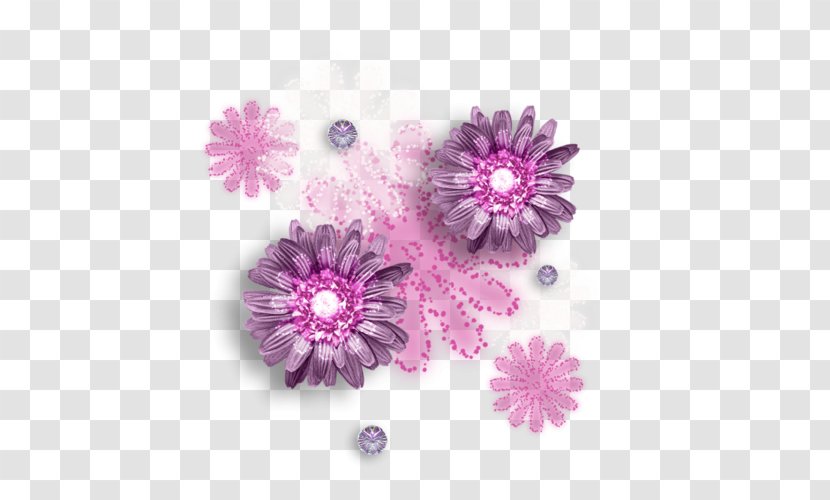 Chrysanthemum Transvaal Daisy Pink M Petal - Lilac Transparent PNG