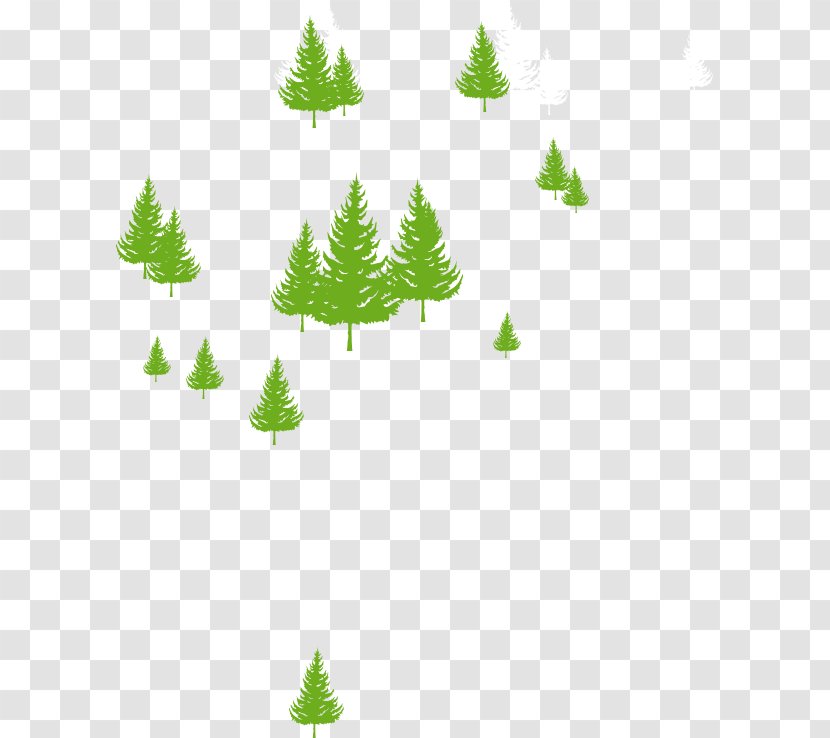 Fir Christmas Ornament Spruce Pine Tree - Plant Transparent PNG
