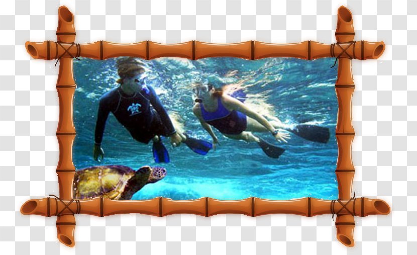 Maui Molokini Lahaina Snorkeling Recreation - Snorkle Transparent PNG