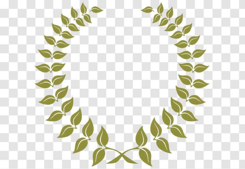Chronic Connections, LLC Olive Wreath Laurel - Symbol - Twig Transparent PNG