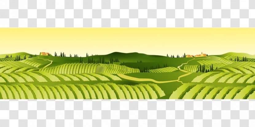 Agriculture Farm Agricultural Land Field Clip Art - Grass Family Transparent PNG