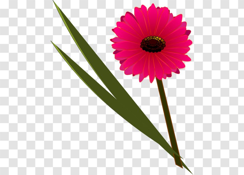 Clip Art Flower Floral Design Transvaal Daisy Petal - Genesis Transparent PNG