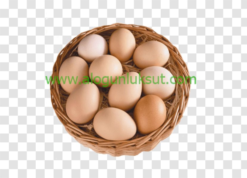 Chicken Egg Brahma Food Service - Goods - Koy Transparent PNG
