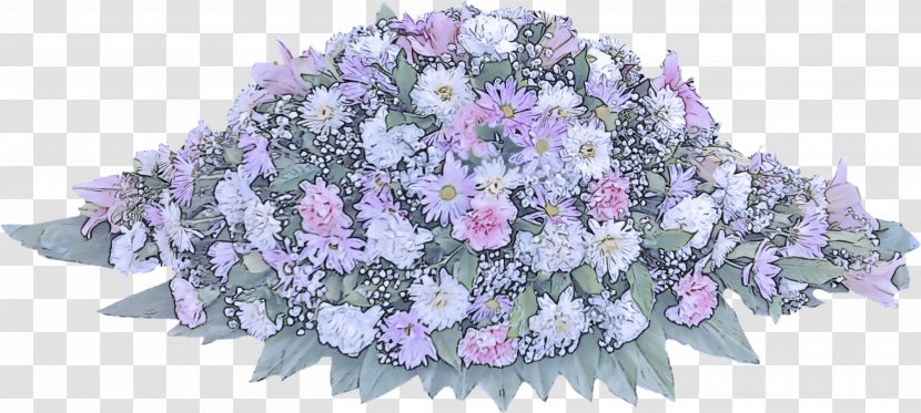 Lavender - Flower - Hydrangea Flowering Plant Transparent PNG