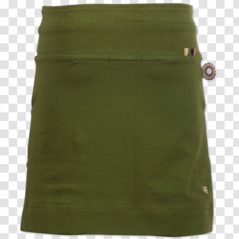 Pocket - Vis With Green Back Transparent PNG