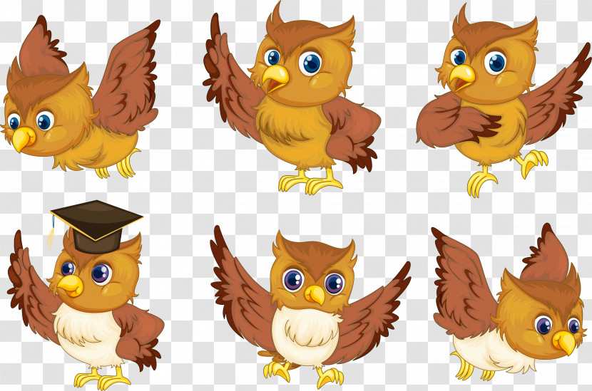 Owl Cartoon Animal Figure Bird Of Prey Yellow Transparent PNG
