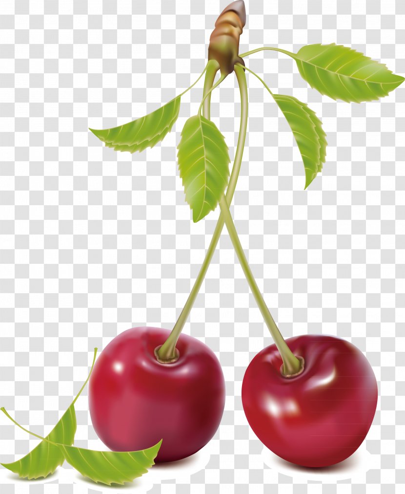 Cherry Royalty-free Clip Art - Fruit - Decoration Transparent PNG