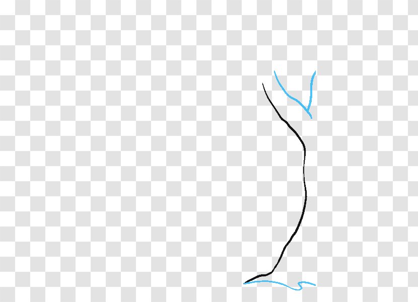 Drawing Cartoon Forest Diagram Transparent PNG