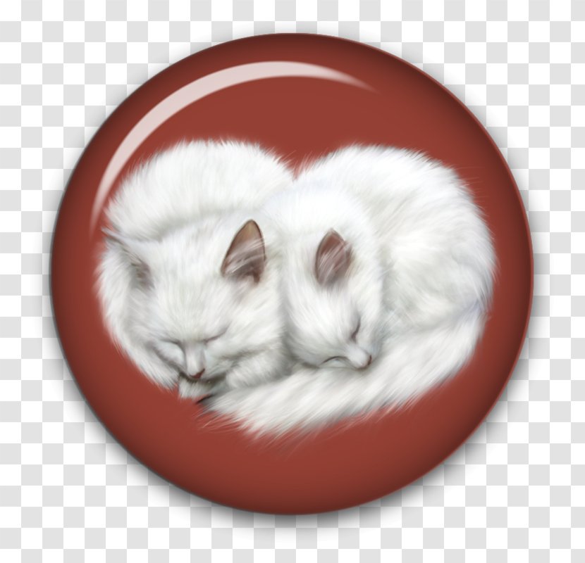 Kitten Cat Whiskers - Snout - Love Transparent PNG
