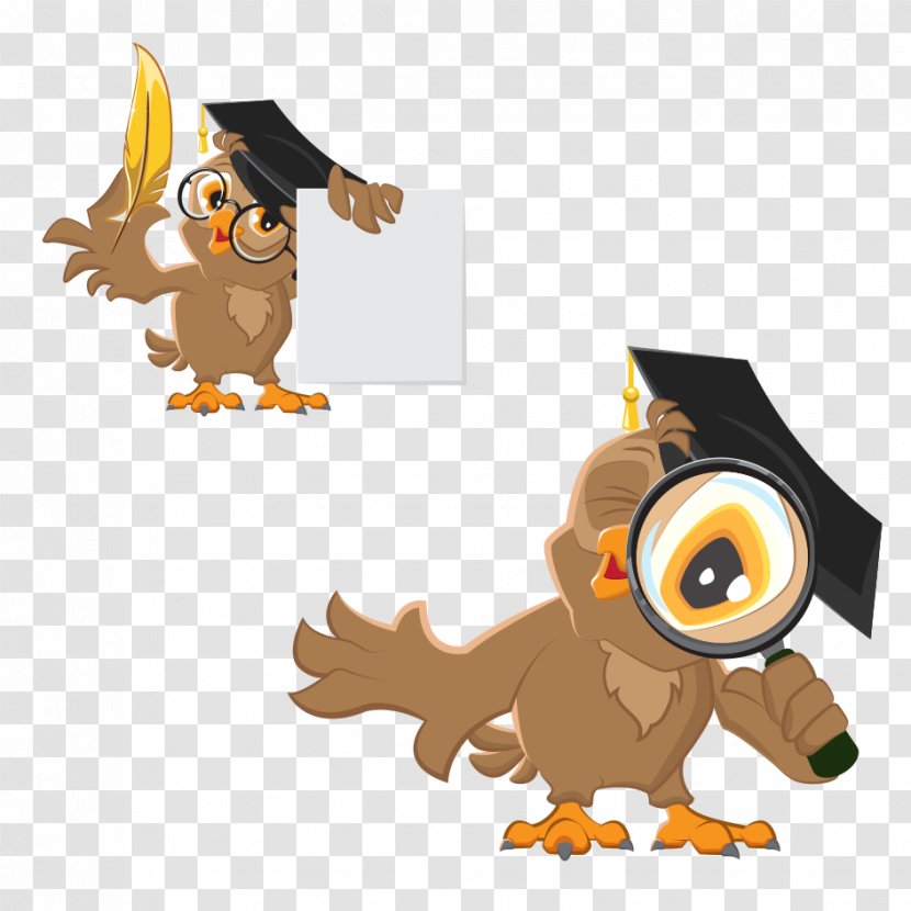 Owl Diploma Illustration - Stock Photography - Clip 3 Transparent PNG
