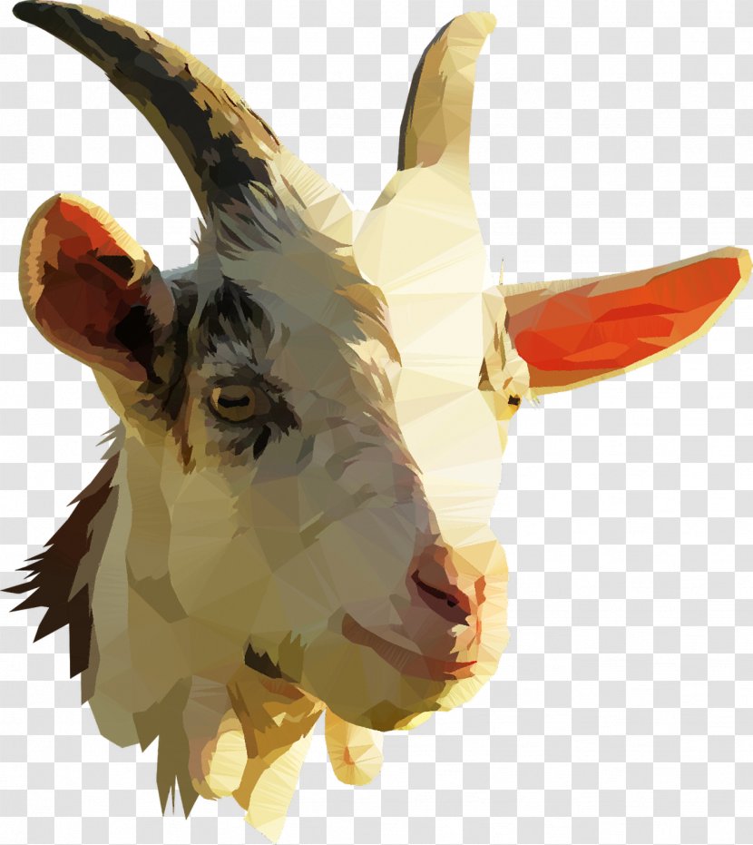 Pygmy Goat Nigerian Dwarf Anglo-Nubian Boer Sheep - Farming - Head Transparent PNG